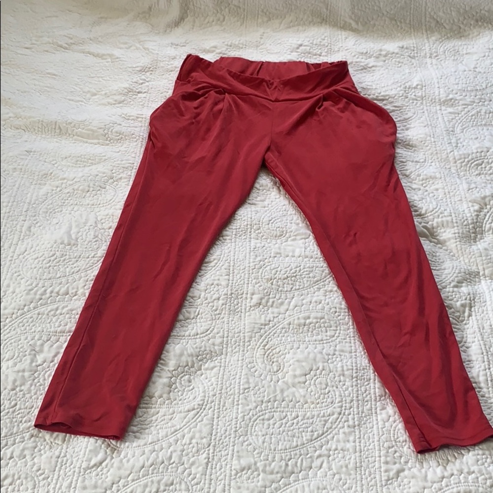 Free people jogger style pants